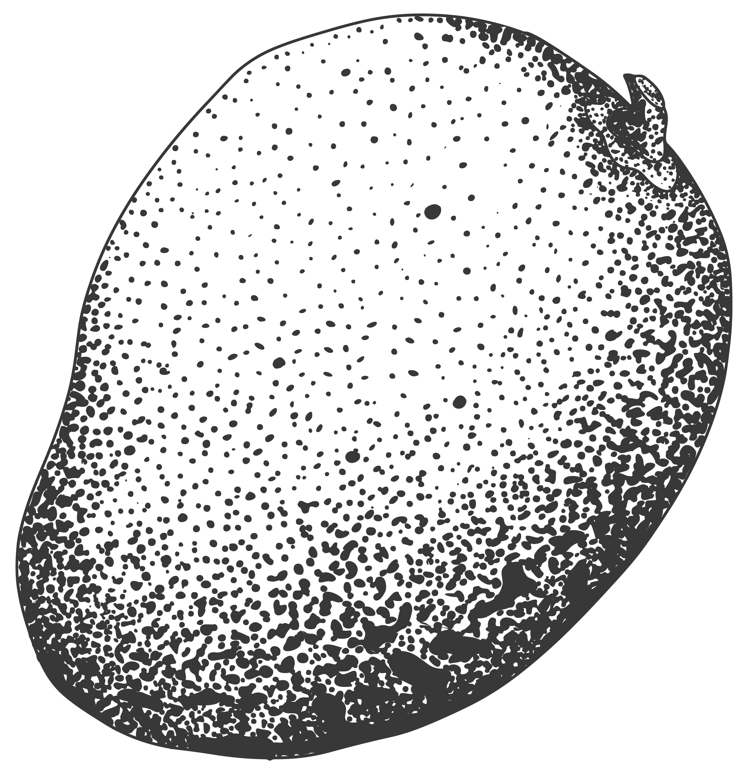 Decoración Aguacate